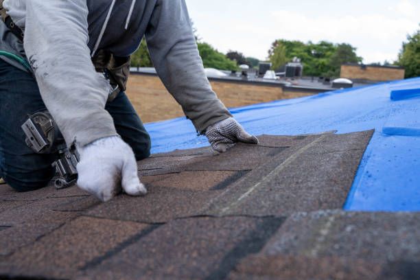 Best Roof Restoration Services  in Napoleon, OH