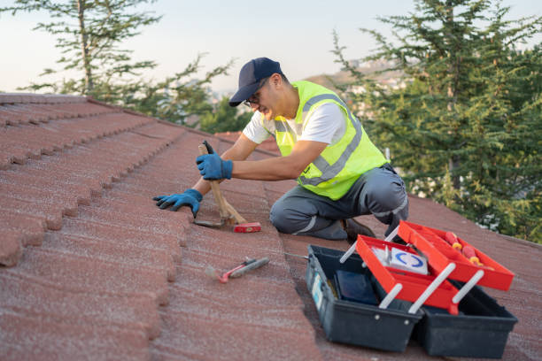 Best Storm Damage Roof Repair  in Napoleon, OH